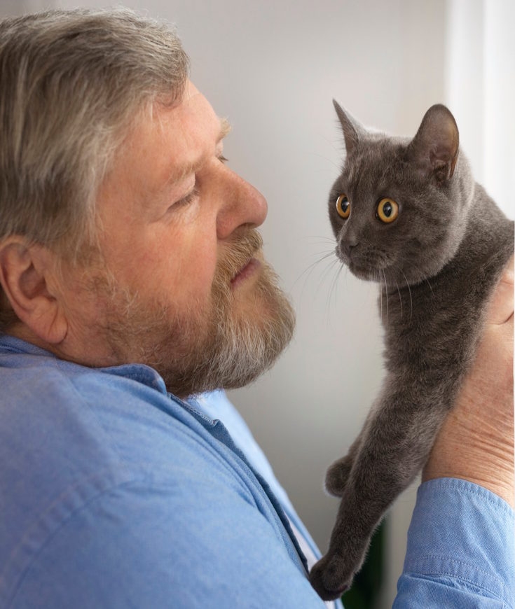 Les chats ont-ils évolué au contact de l'humain ?